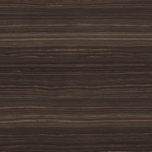Natural allure of Eramosa Marble