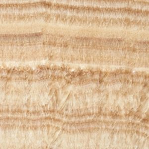 Unleashing the Wild Beauty of Nature's Stripes into the Interiors
