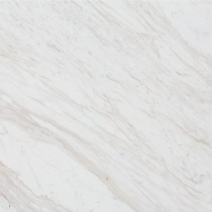 Classic white with subtle gray veining Marble